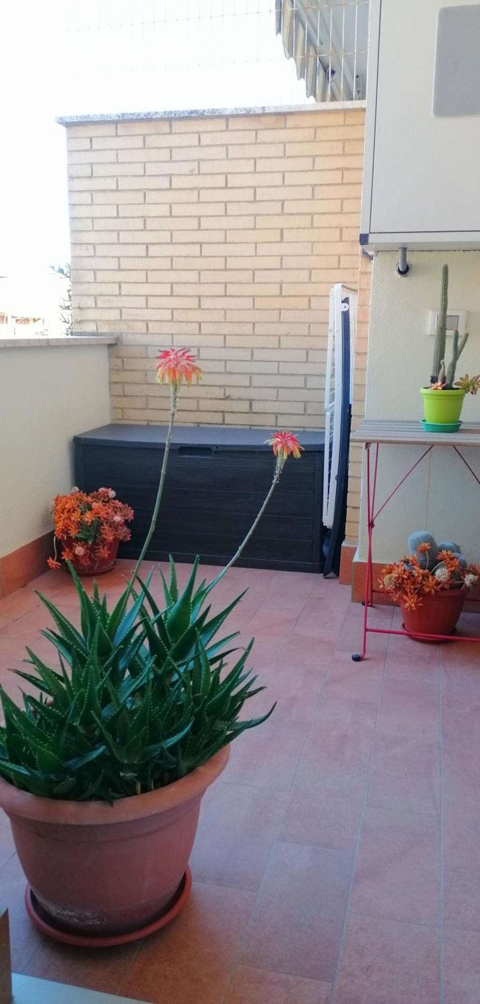 A Few Steps From The Sea Apartment Fiumicino Luaran gambar